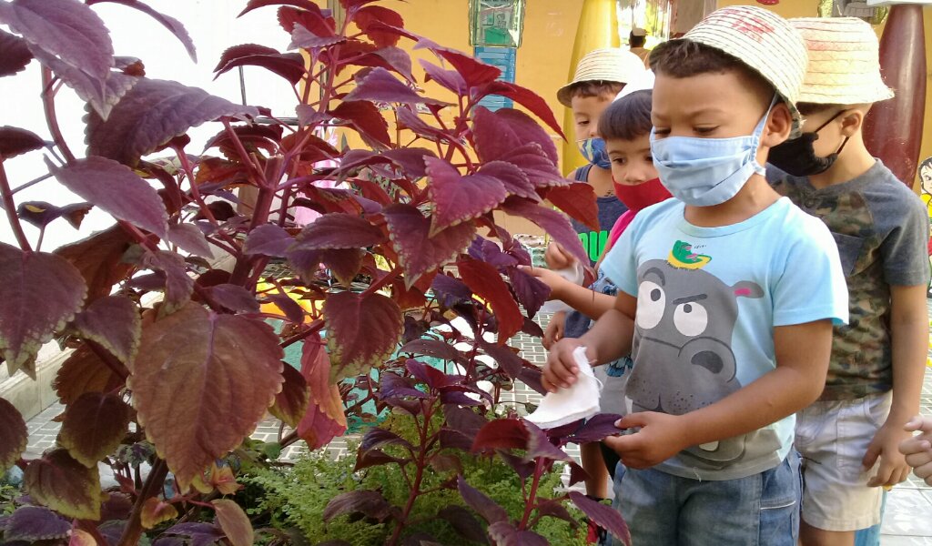 En nuestros círculos infantiles se cultivan valores en los niños como la laboriosidad /Foto Eliexer Pelaez Pacheco