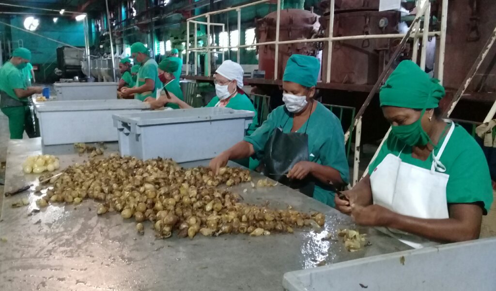 Las innovaciones mantienen la marcha de las producciones de la fábrica La Manzanillera //Foto Eliexer Pelaez Pacheco