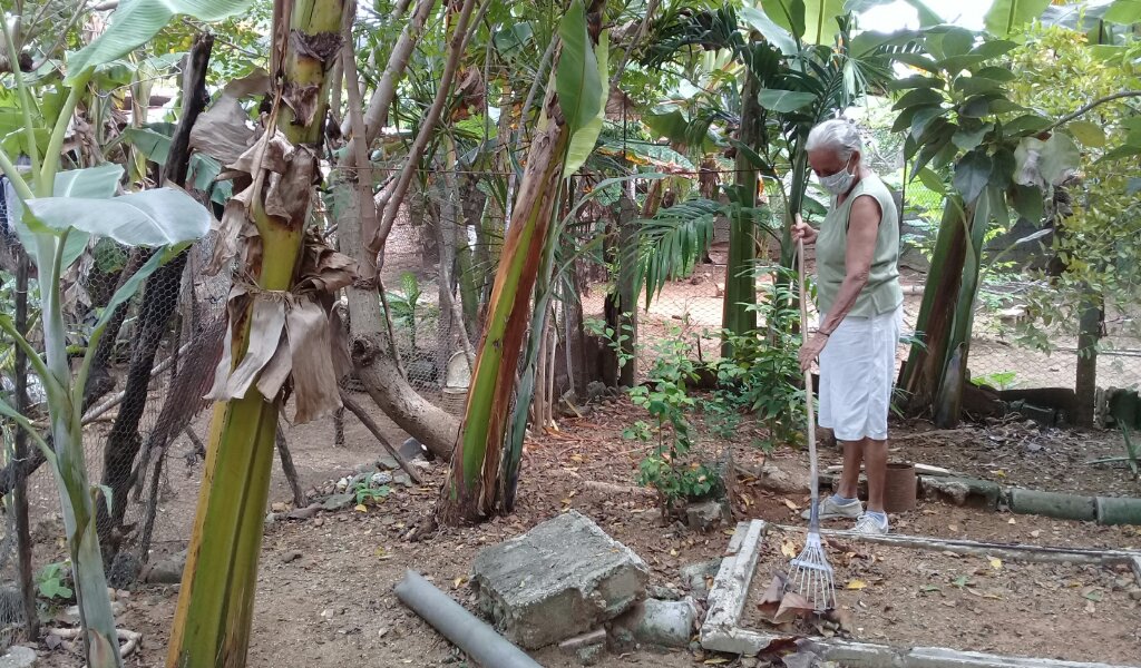 Una incansable mujer de 74 años se sumó a la iniciativa de sembrar alimentos en los patios //Foto Eliexer Pelaez Pacheco