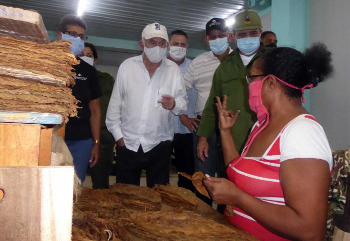 Machado Ventura se interesó por la estrategia de Vueltabajo para reponerse de los severos estragos ocasionados por las lluvias de Eta. // Foto Ronald Suárez Rivas