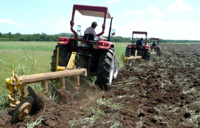  Se aprueba la venta de tractores de baja potencia a productores individuales que, por el área que gestionan, se justifique económicamente. Foto: Germán Veloz Placencia 