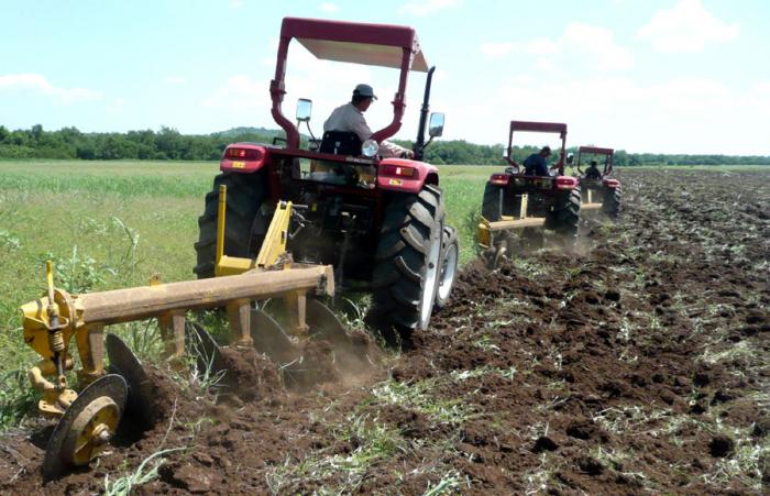 Se aprueba la venta de tractores de baja potencia a productores individuales que, por el área que gestionan, se justifique económicamente. Foto: Germán Veloz Placencia