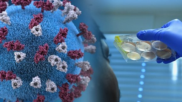 Los resultados fueron publicados recientemente en dos estudios compilados en la revista Science.// Foto OIEA