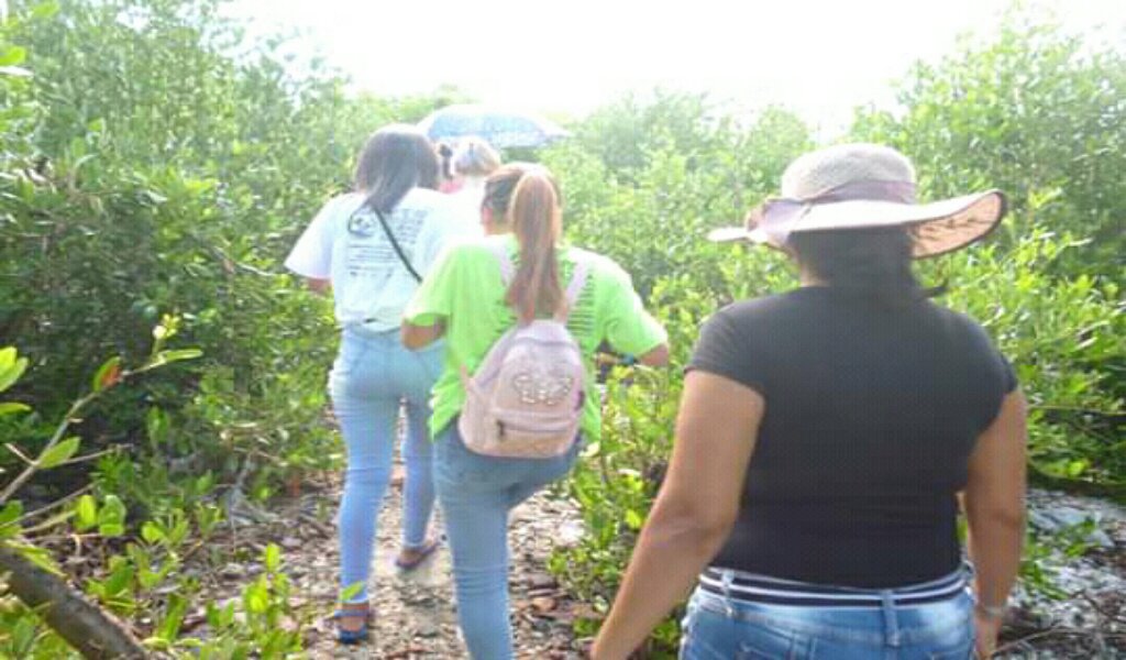 La cátedra de medio ambiente y desarrollo sostenible de la Universidad de Granma luego de un intenso año con grandes logros tiene nuevo retos para este 2021 //Foto cortesía de la cátedra