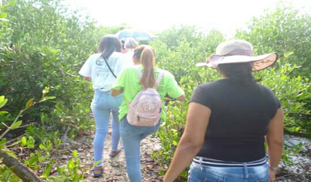 La cátedra de medio ambiente y desarrollo sostenible de la Universidad de Granma luego de un intenso año con grandes logros tiene nuevo retos para este 2021 //Foto cortesía de la cátedra 