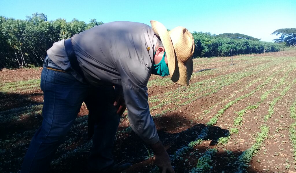 Elevar la producción de alimentos ha sido uno de la principales temas que se debate en las asambleas de balance de la ANAP //Foto Rafael González Castro