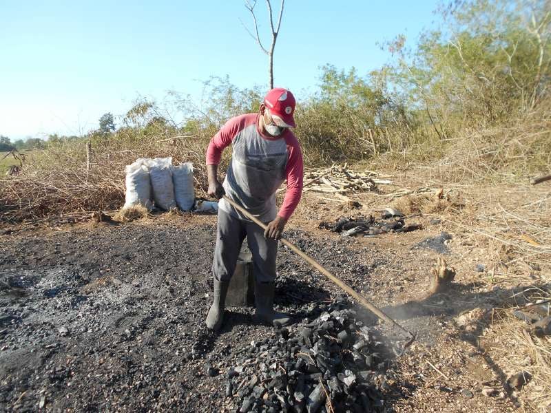 Trabajadores del INDER se vinculan a la producción de carbón vegetal // Foto Alexis Sánchez Jerez