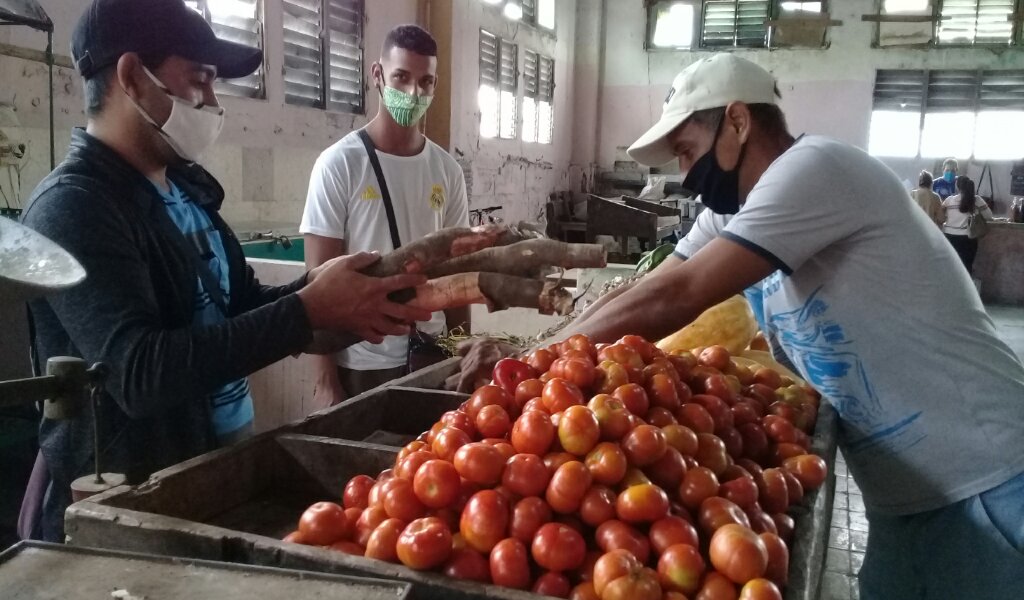 Los jóvenes del mercado La Plaza buscan satisfacerle  //Foto Eliexer Pelaez Pacheco 