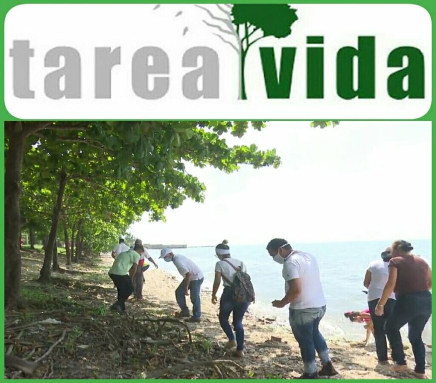 En Manzanillo avanzan las acciones de la Tarea Vida //Foto Eliexer Pelaez Pacheco