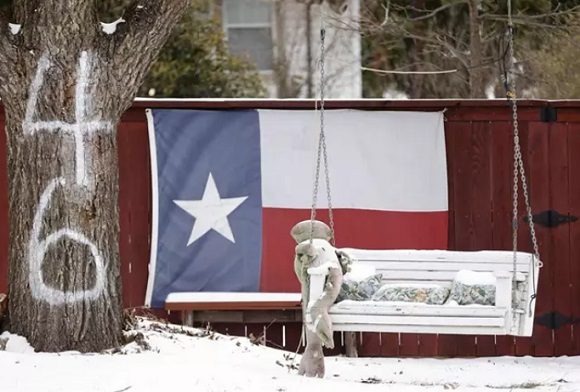 Ola de frío polar en Texas. Foto: Ron Jenkins.