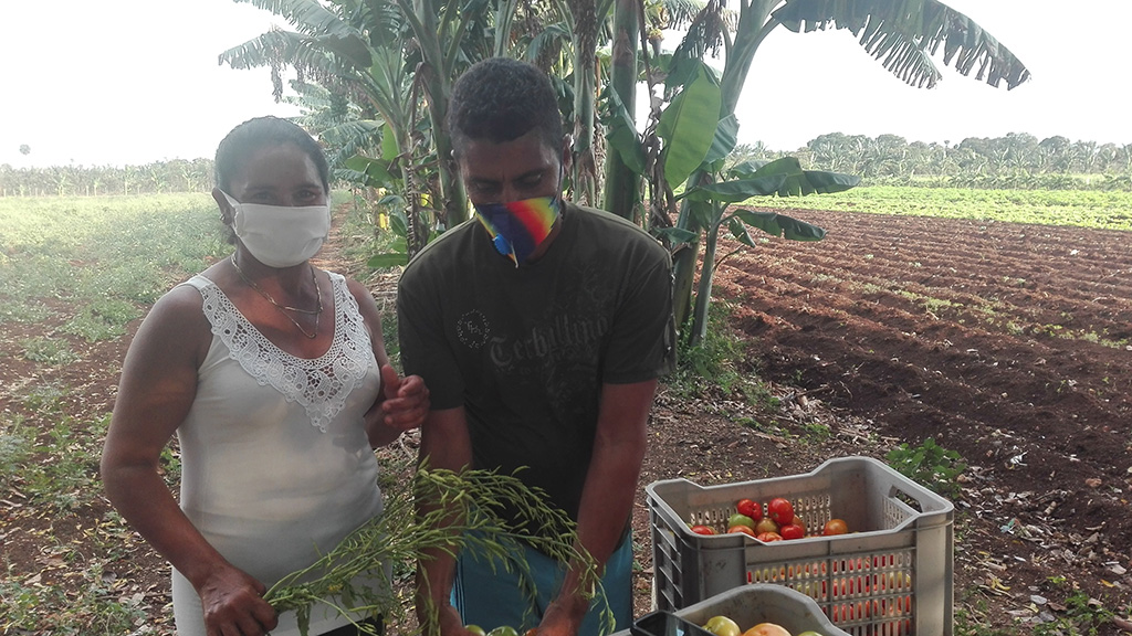 Junto a su esposa, quien se dedica también a las labores agrícolas // Foto Marlene Herrera