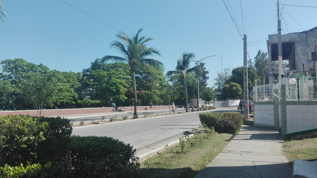 Manzanillo // Foto Marlene Herrera