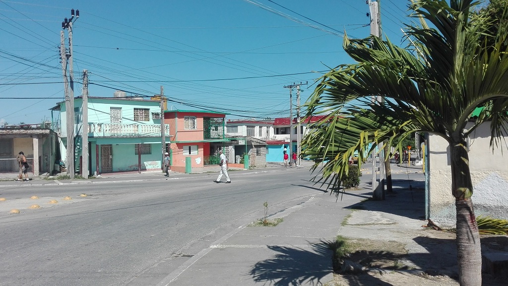 manzanillo // Foto Marlene Herrera