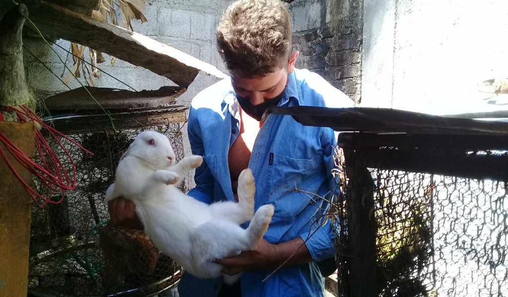 David ha logrado otros aportes para la crianza de sus propios animales //Foto Eliexer Pelaez Pacheco