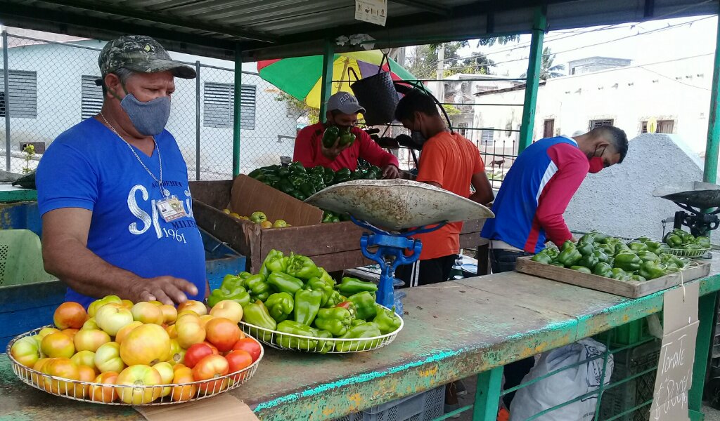 Guillermo es uno de los campesinos manzanilleros concurrente del mercado agropecuario La Kaba //Foto Eliexer Pelaez Pacheco
