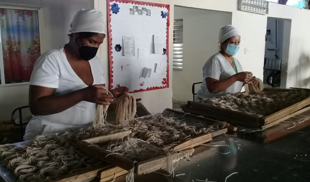 La fábrica de fideos Horacio Rodríguez de Manzanillo mantiene su estabilidad en la producción en el actual enfrentamiento a la COVID-19  //Foto Eliexer Pelaez Pacheco