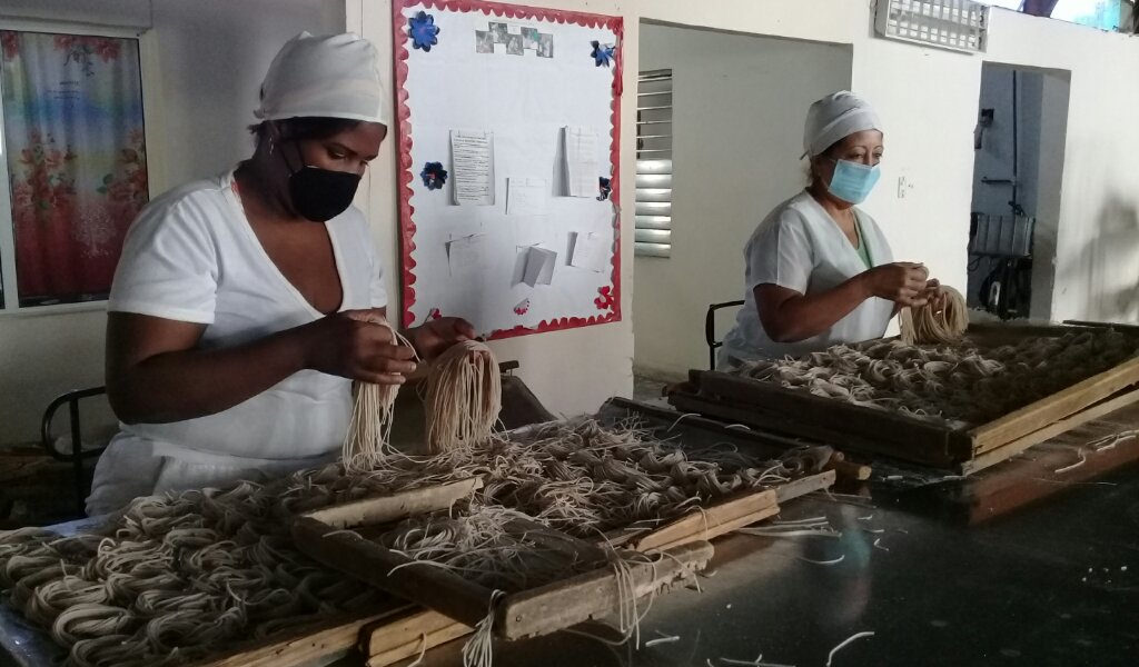 La fábrica de fideos Horacio Rodríguez de Manzanillo mantiene su estabilidad en la producción en el actual enfrentamiento a la COVID-19 //Foto Eliexer Pelaez Pacheco