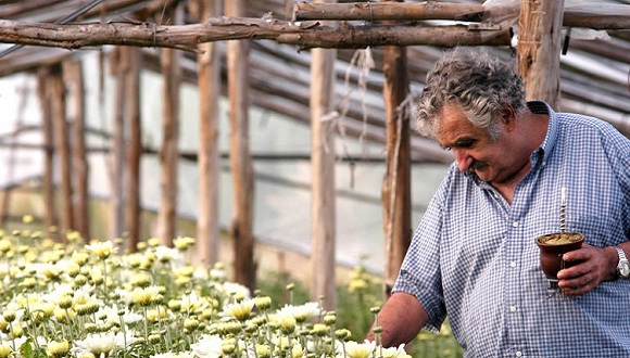 Pepe Mujica, Ministro de Ganadería y Agricultura en el primer gobierno de Tabaré Vázquez en 2005 y luego Presidente del Uruguay entre 2010 y 2015. Foto: Resumen Latinoamericano.