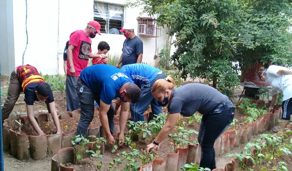 La actividad dedicada a los pioneros en la casa de niños sin amparo familiar del municipio comenzó con una labor productiva en el huerto de la institución //Foto Eliexer Pelaez Pacheco