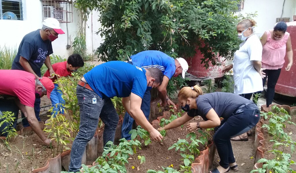 La actividad dedicada a los pioneros en la casa de niños sin amparo familiar del municipio comenzó con una labor productiva en el huerto de la institución //Foto Eliexer Pelaez Pacheco