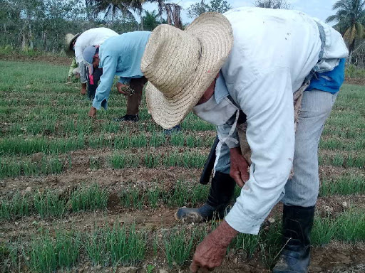 Foto: Periódico Escambray