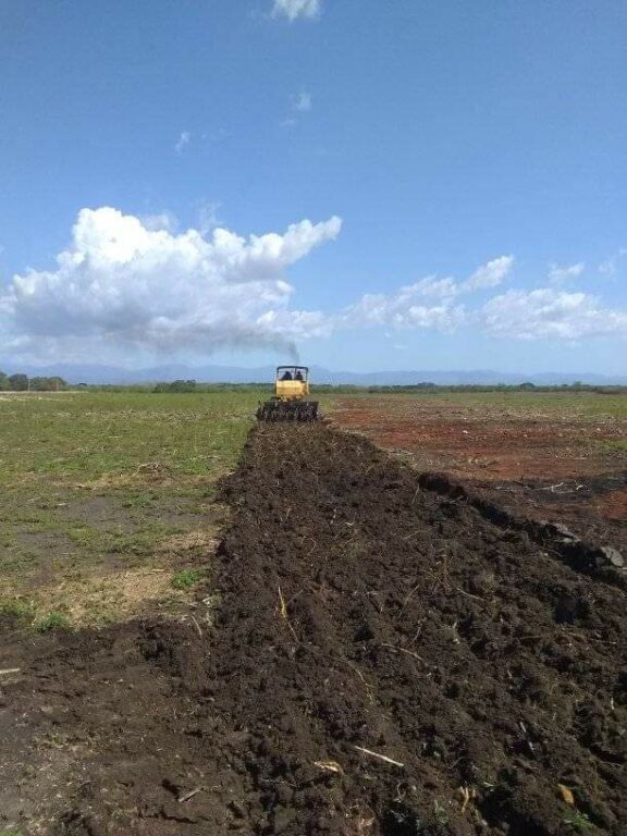 Granma 2 será otro polo productivo que tendrá el municipio Manzanillo //Foto cortesía de Vladimir Alcalá Hernández