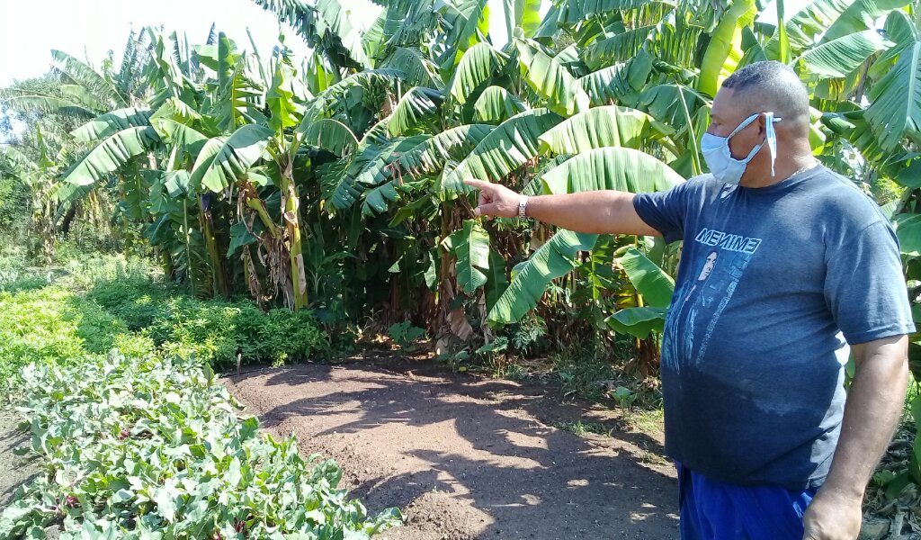 Gerardo señala un área destinada para el logro de las semillas a sembrar luego en los 40 canteros de la unidad //Foto Eliexer Pelaez Pacheco