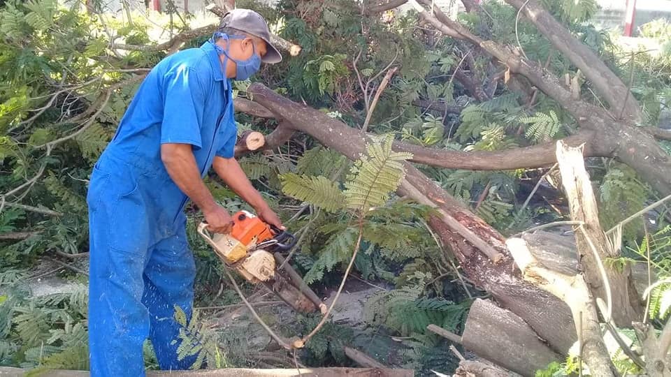 Foto tomada del perfil José Ortiz Benet