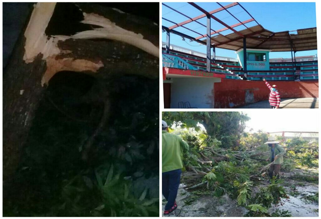 Collage de Eliexer Pelaez Pacheco