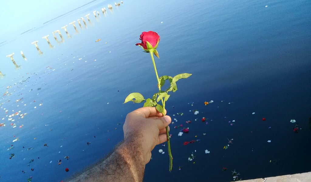 Una flor para Camilo //Foto Eliexer Pelaez Pacheco