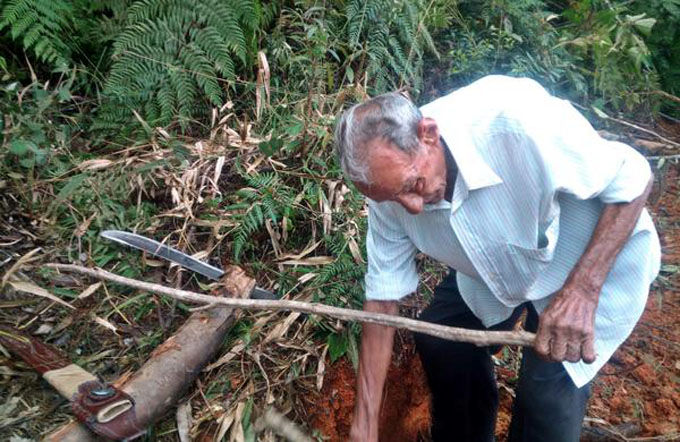 Hipólito Torres Guerra, conocido como el Capitán Descalzo, hombre de confianza del Guerrillero Heroico, a pesar de sus años  trabajó hasta casi sus últimos días.  Granma, 15 de diciembre de 2017.  ACN   FOTO/Yasel TOLEDO GARNACHE/sdl.