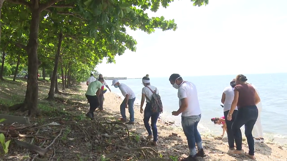 Manzanillo es una de las ciudades afectadas por el aumento del nivel del mar lo que provoca la pérdida de su costa y su atención priorizada es una de las acciones dentro de la Tarea Vida en este territorio  //Foto captura de video del proyecto Costa Viva 