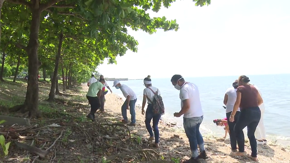 Manzanillo es una de las ciudades afectadas por el aumento del nivel del mar lo que provoca la pérdida de su costa y su atención priorizada es una de las acciones dentro de la Tarea Vida en este territorio //Foto captura de video del proyecto Costa Viva
