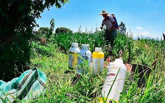 El proyecto pretende concederle carácter eterno y exonerar de suspensión a aquellos agroquímicos liberados. | Foto: revista Leisa