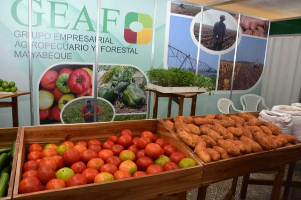 Stands expositivos de la XXI Feria Internacional Agroindustrial Agropecuaria Fiagrop 2018, en el  recinto  ferial de Rancho Boyeros, en La Habana, Cuba,  el 19 de marzo de 2018.      ACN  FOTO/ Modesto GUTIÉTRREZ CABO/ rrcc
