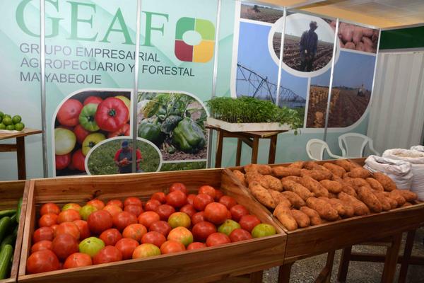 Stands expositivos de la XXI Feria Internacional Agroindustrial Agropecuaria Fiagrop 2018, en el recinto ferial de Rancho Boyeros, en La Habana, Cuba, el 19 de marzo de 2018. ACN FOTO/ Modesto GUTIÉTRREZ CABO/ rrcc