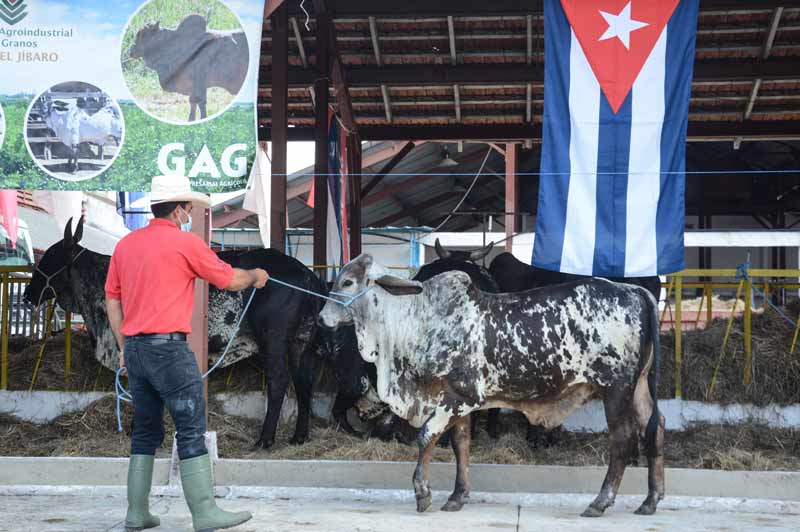 Foto Marcelino Vázquez Hernández