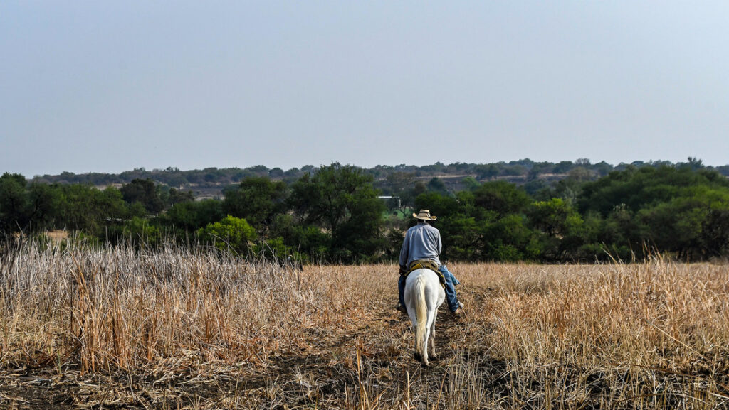 Florentino Álvarez monta a caballo en el lago Cuitzeo totalmente seco, en México, 9 de mayo de 2021
Karen Melo / Agencia Press South / Gettyimages.ru