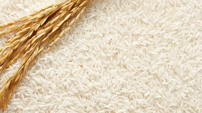 Granos de arroz // Foto Internet