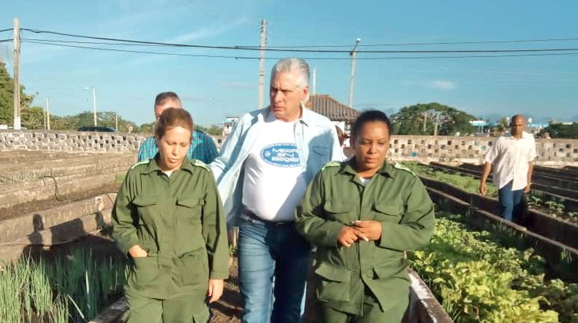 Foto: @PresidenciaCuba