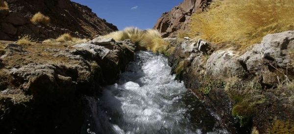 Las aguas del Silala nacen en humedales de altura llamados bofedales, localizados en el departamento boliviano de Potosí, discurren colinas abajo y atraviesan la frontera con Chile. | Foto: ABI