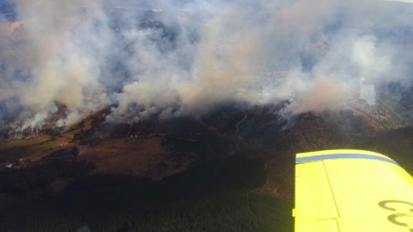 Efectivos de la Corporación Nacional Forestal (CONAF), equipos municipales y Bomberos enfrentan el siniestro. | Foto: Radio Cooperativa