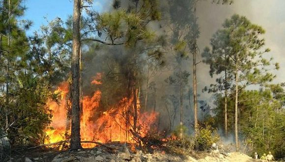 Es probable que las anomalías cálidas abarquen continentes enteros, incrementándose significativamente la posibilidad de olas de calor terrestres, sequías e incendios forestales. // Foto: Archivo/CD.