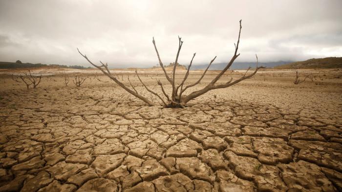  El mundo del deporte aúna esfuerzos en la lucha contra el cambio climático. // Foto: Reuters 