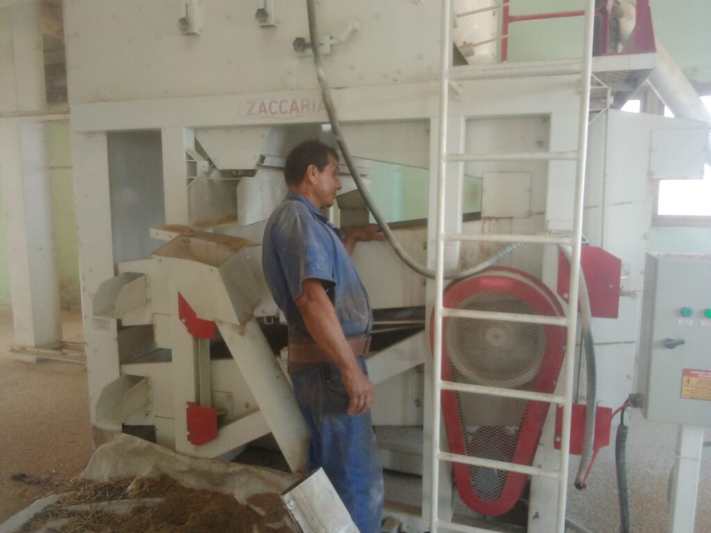 Foto: Rafael González Castro