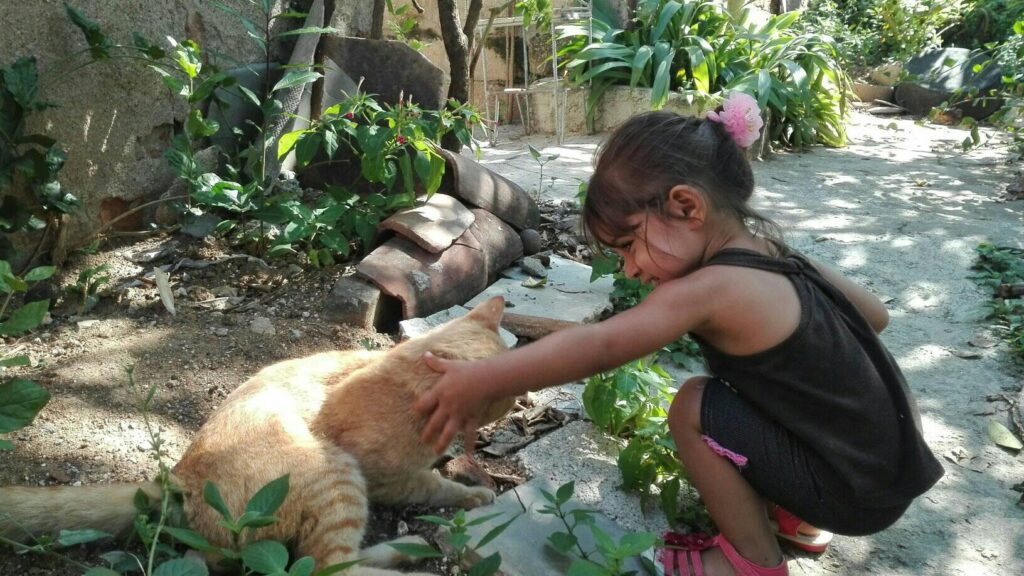 Los animales domésticos son una buena compañía para los niños // Foto: Marlene Herrera