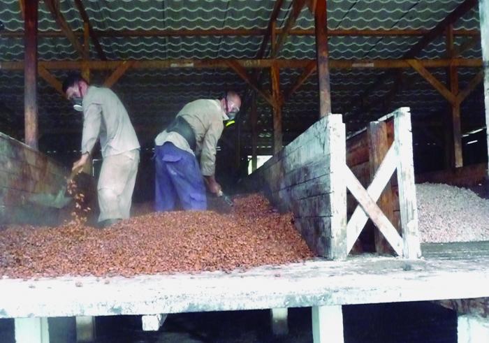 No podemos seguir exportando materias primas como el cacao; hay que lograr productos terminados y agregarles valor, señaló el Primer Ministro. // Foto: Jorge Luis Merencio