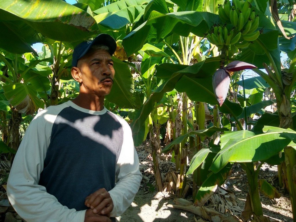 Fernando es el líder de esta familia que siembra en Los Mangos // Foto: Denia Fleitas Rosales