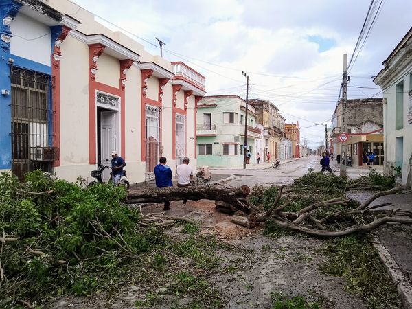 Se reportan árboles caídos, afectaciones al servicio eléctrico y otros daños // Foto Roberto Mesa