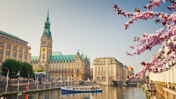 Cerezo japonés en flor junto al río Alster y el Ayuntamiento de Hamburgo, Alemania.
sborisov / Gettyimages.ru